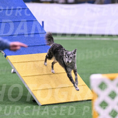 Bruce-Vic-Belebczuk-06918