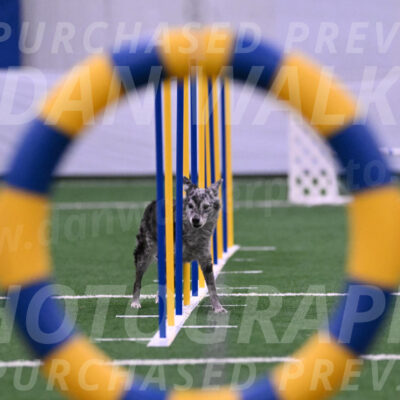 Bruce-Vic-Belebczuk-06945