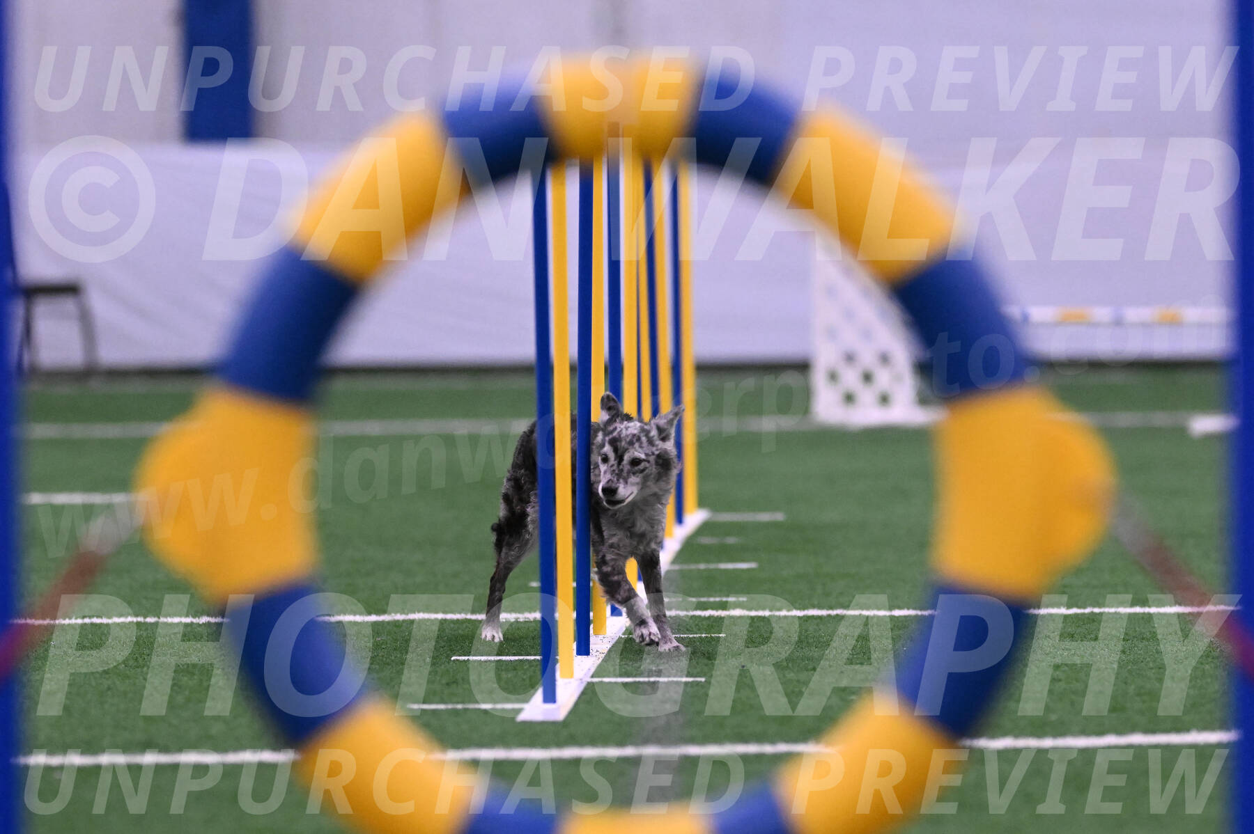 Bruce-Vic-Belebczuk-06946