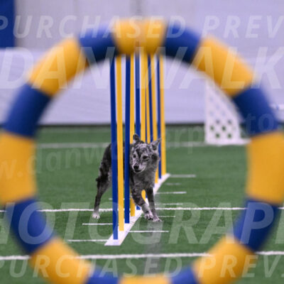 Bruce-Vic-Belebczuk-06946