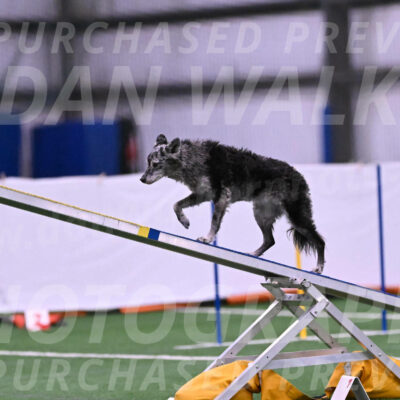 Bruce-Vic-Belebczuk-06958