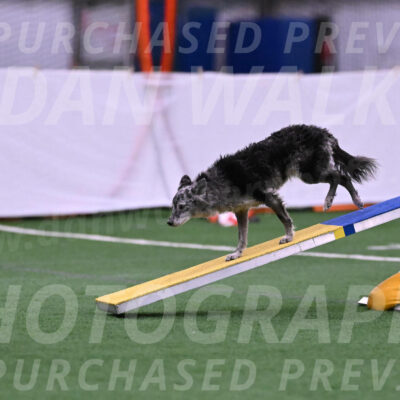 Bruce-Vic-Belebczuk-06960