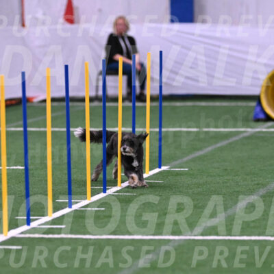 Brynie-Michelle-Burnmeister-06534