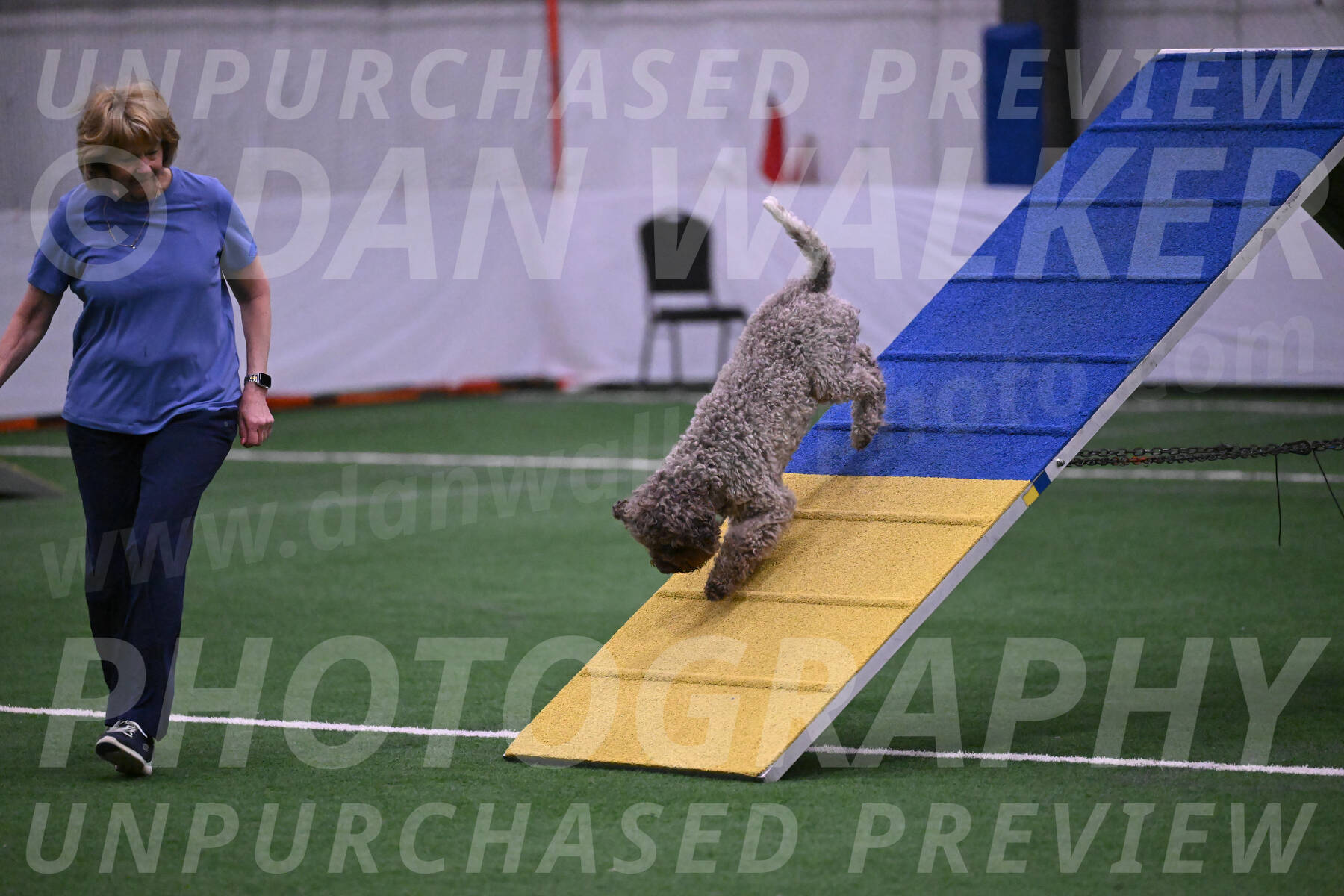 BuZzy-Deborah-S-Kaufman-21612