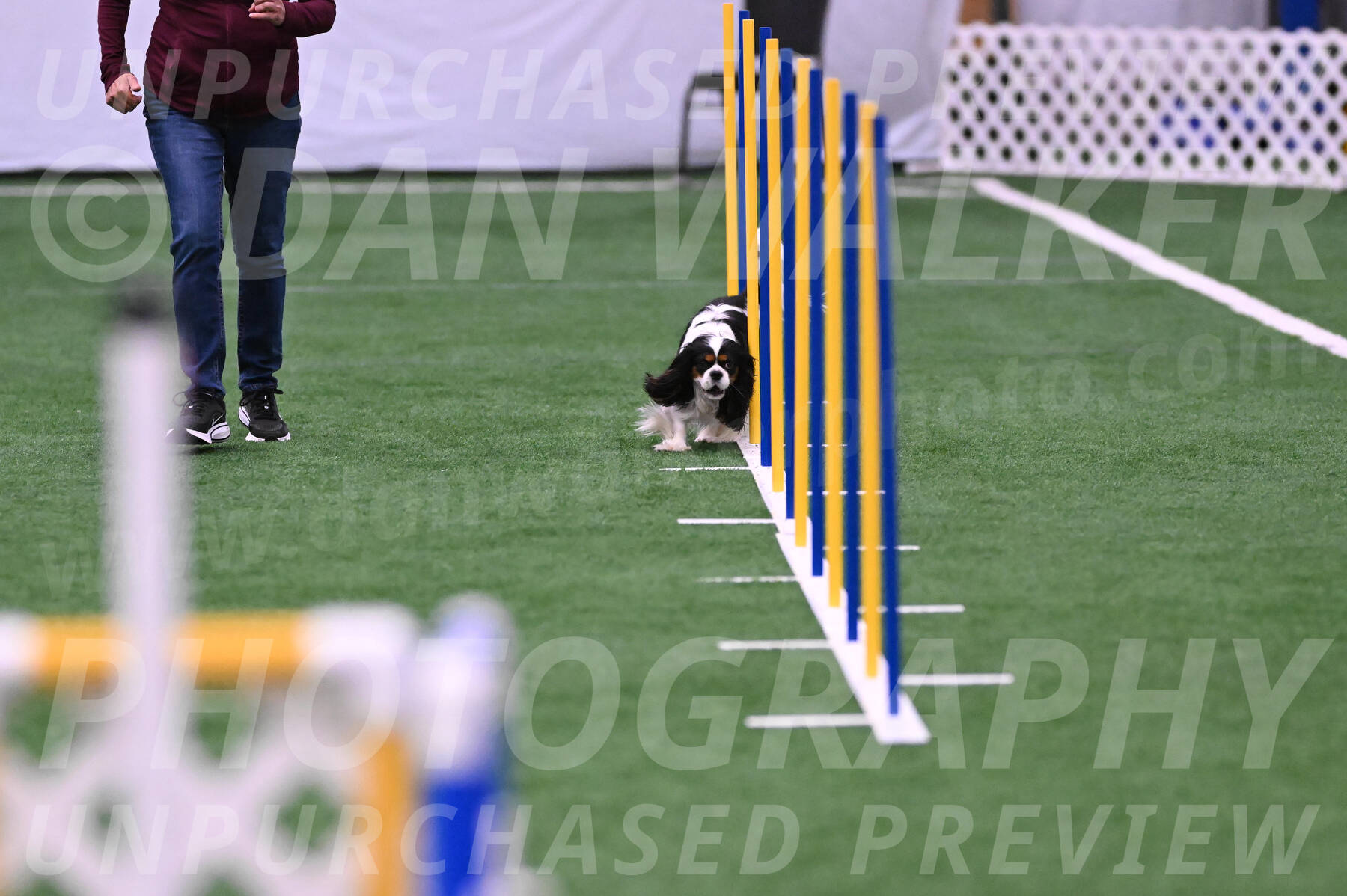 Captain-Rhadine-Zabrecky-05038