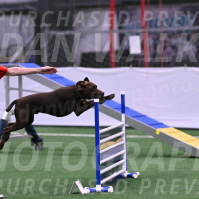 Chester-Linda-Lombardi-22030