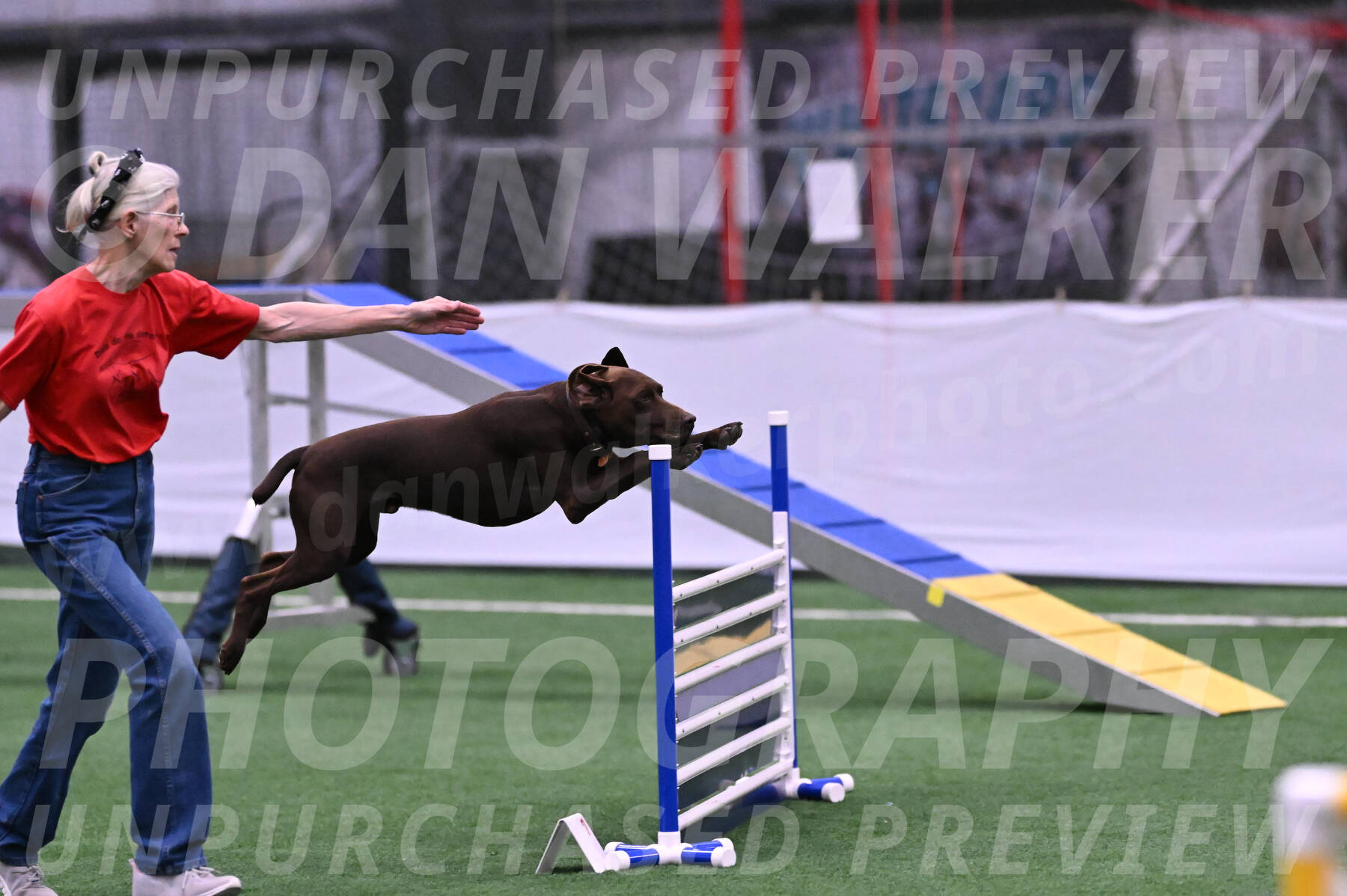 Chester-Linda-Lombardi-22030