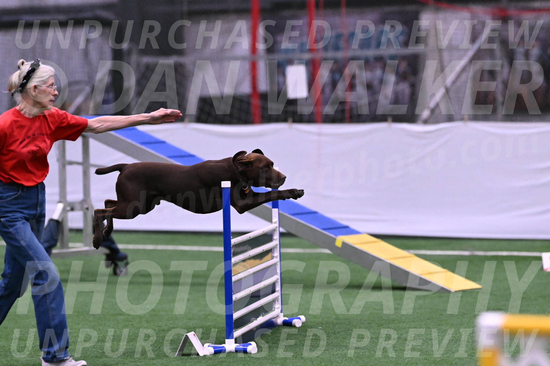 Chester-Linda-Lombardi-22031