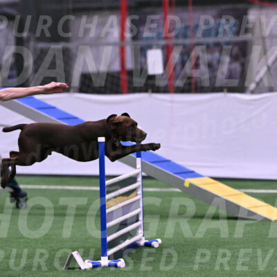 Chester-Linda-Lombardi-22031