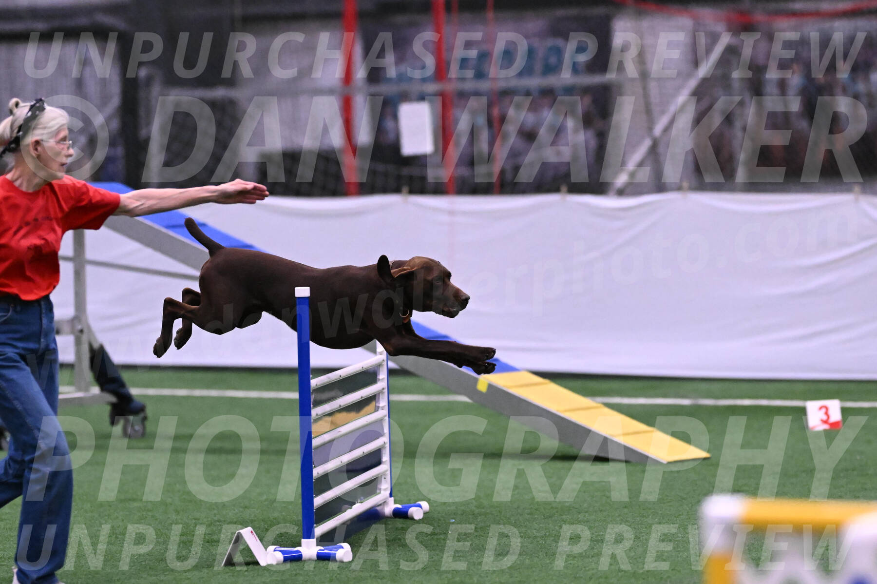 Chester-Linda-Lombardi-22032