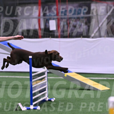 Chester-Linda-Lombardi-22032