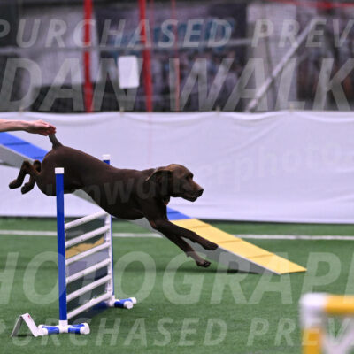 Chester-Linda-Lombardi-22033
