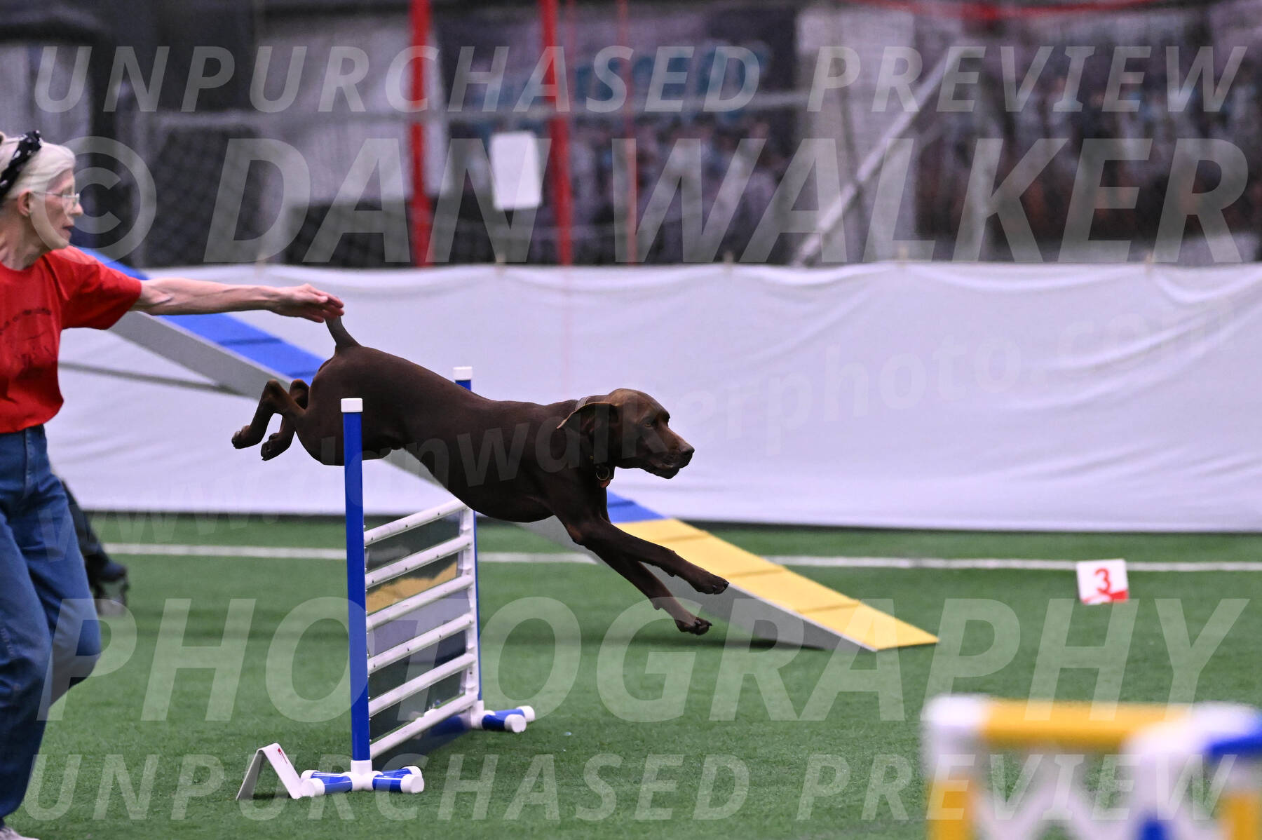 Chester-Linda-Lombardi-22033