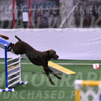 Chester-Linda-Lombardi-22034