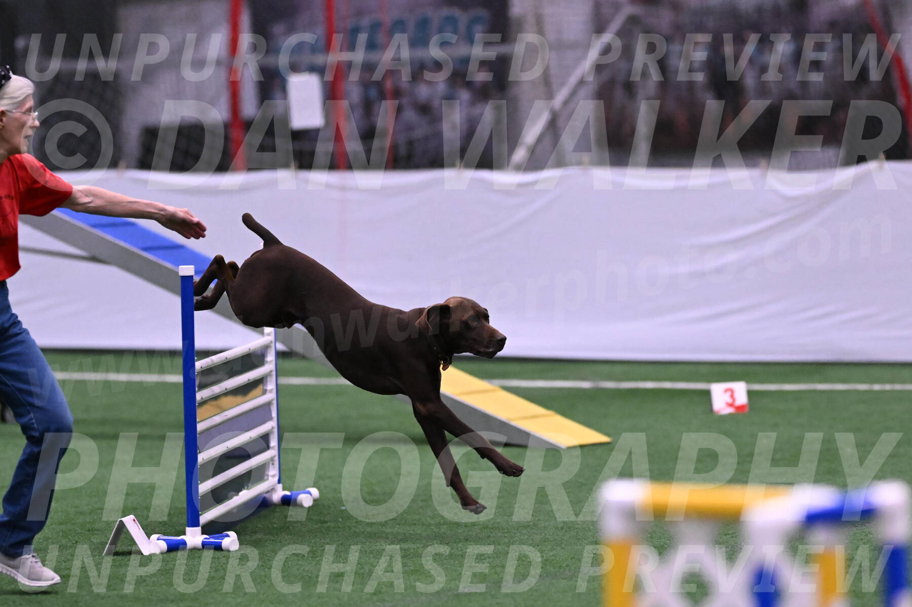 Chester-Linda-Lombardi-22034