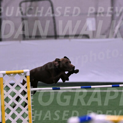 Chester-Linda-Lombardi-22035