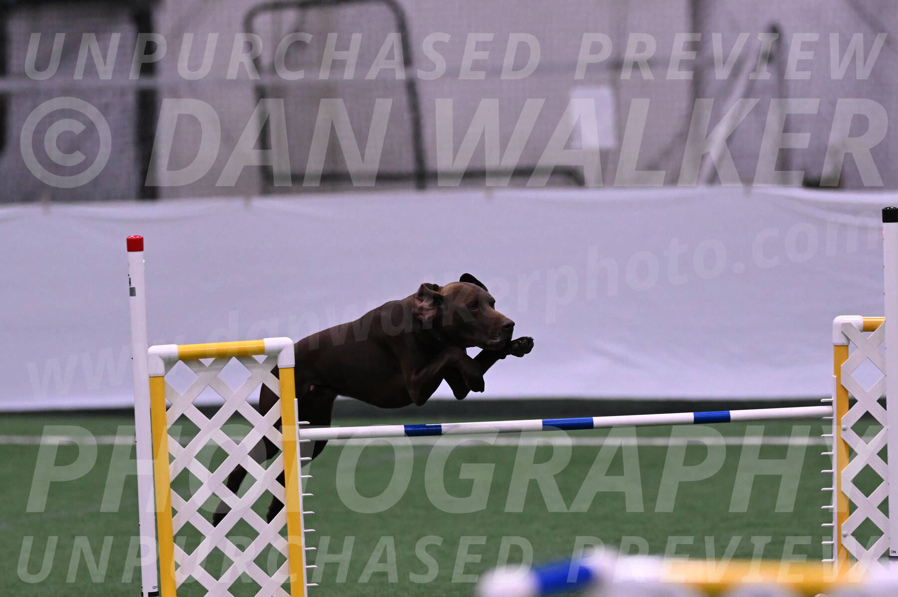 Chester-Linda-Lombardi-22035