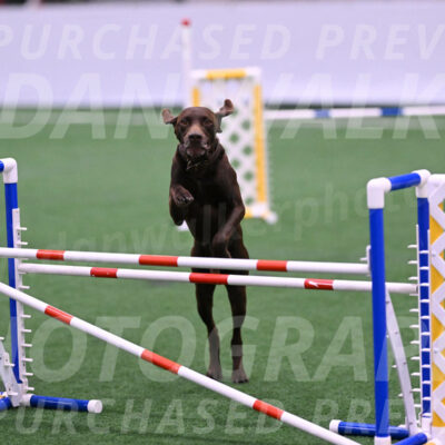Chester-Linda-Lombardi-22040