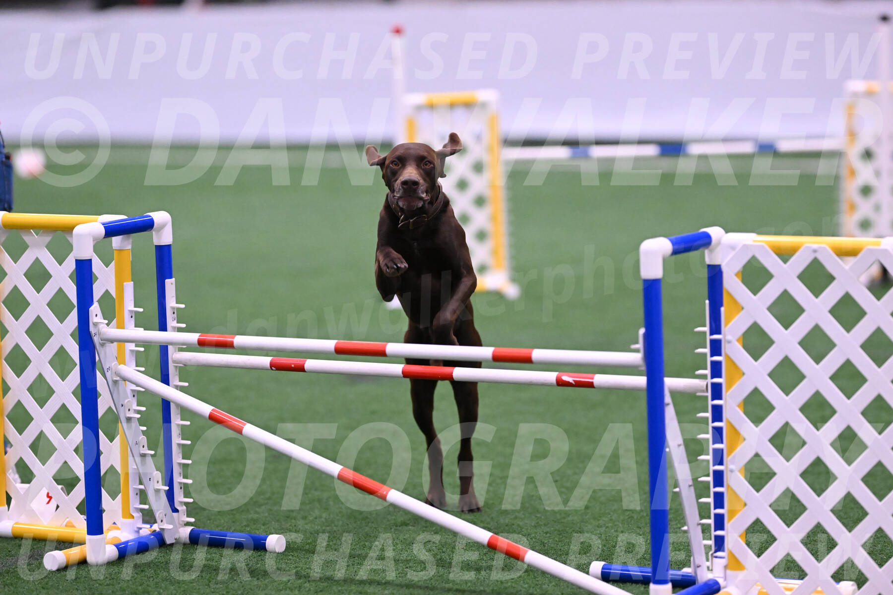 Chester-Linda-Lombardi-22040