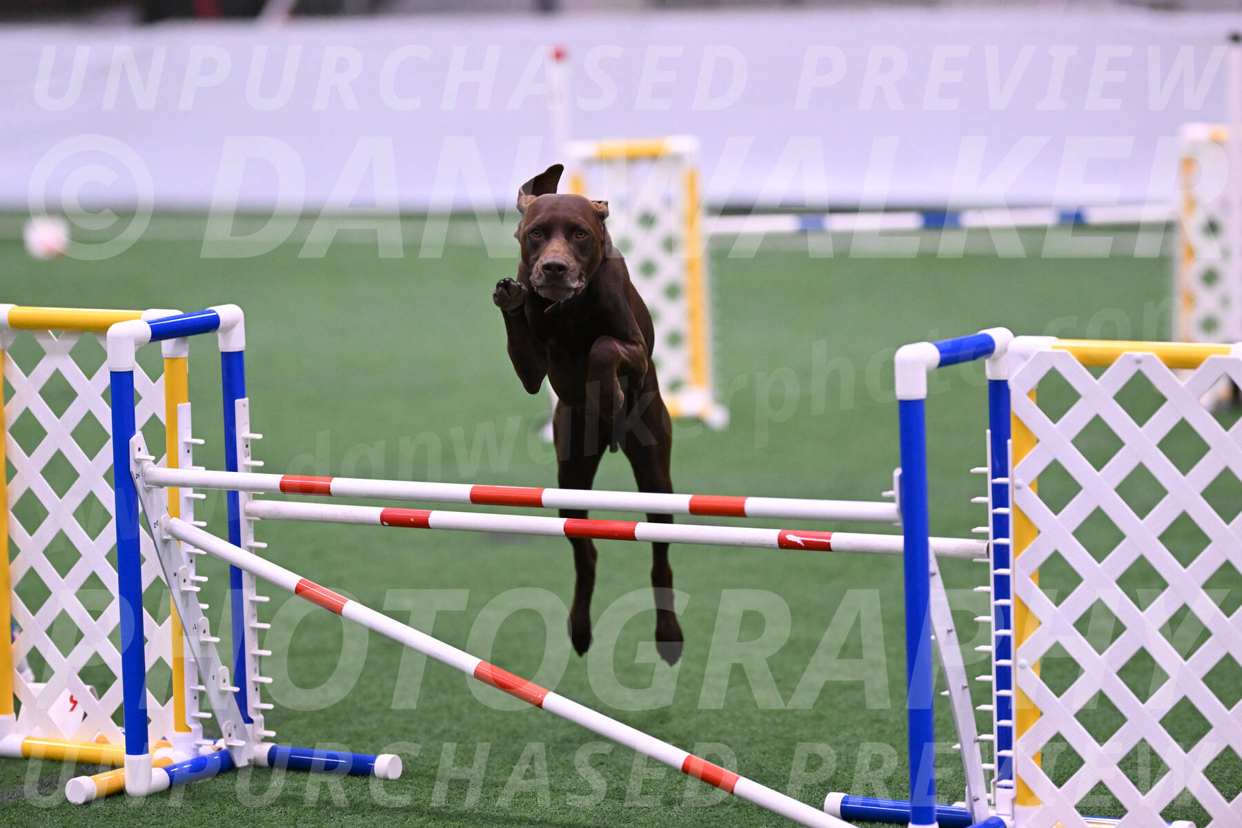Chester-Linda-Lombardi-22041