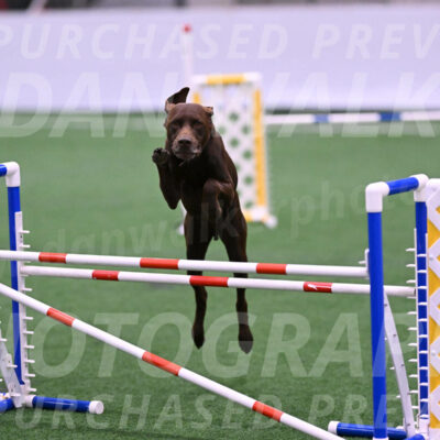 Chester-Linda-Lombardi-22041