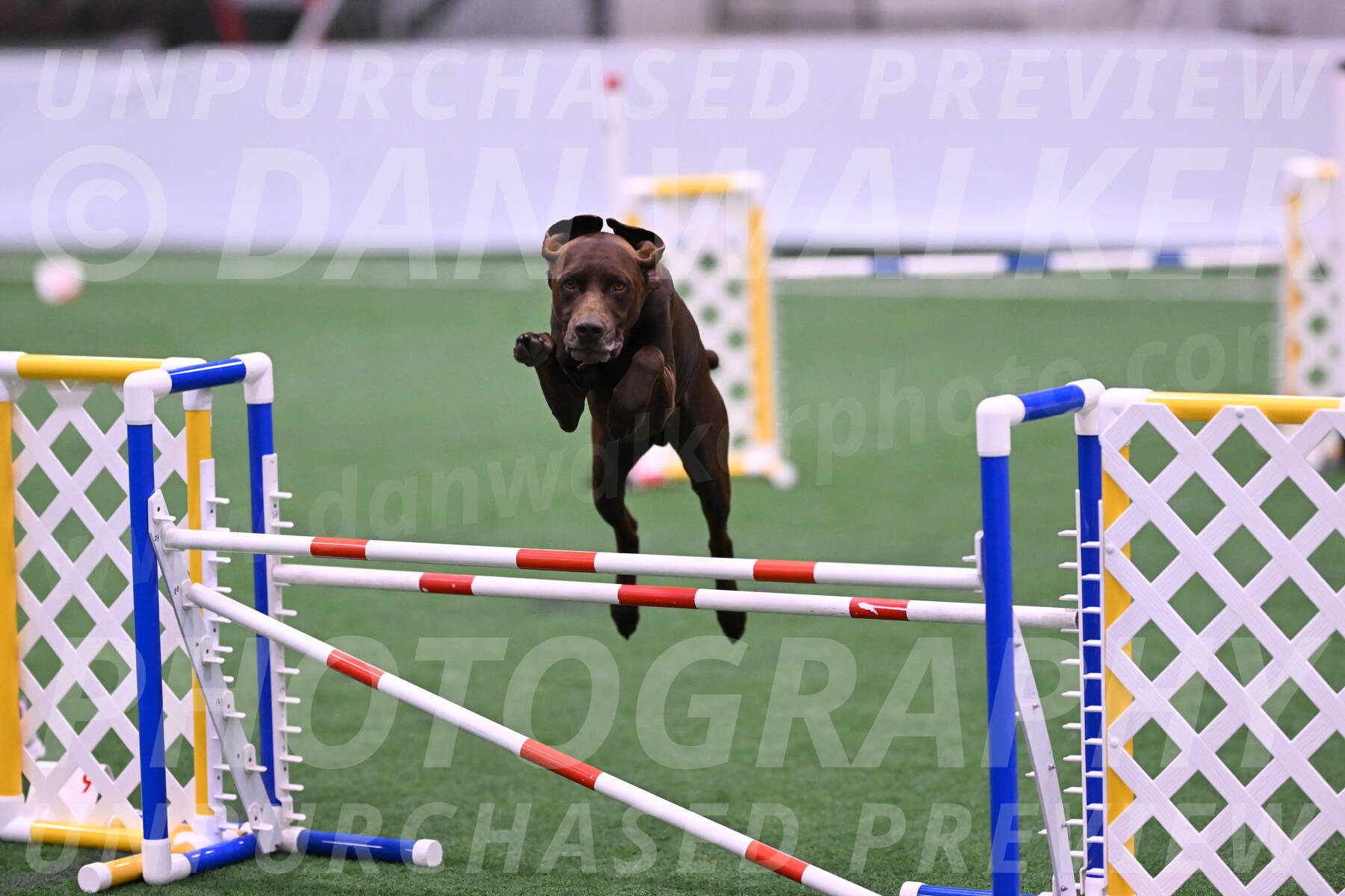 Chester-Linda-Lombardi-22042