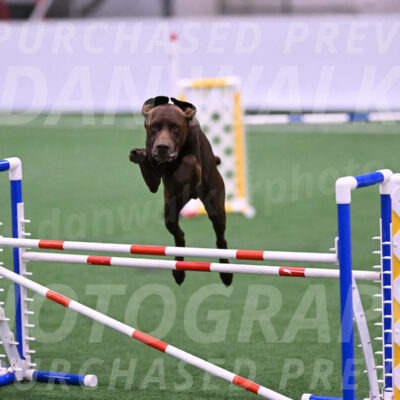 Chester-Linda-Lombardi-22042