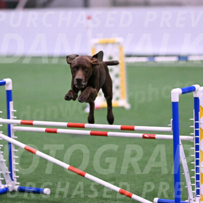 Chester-Linda-Lombardi-22043