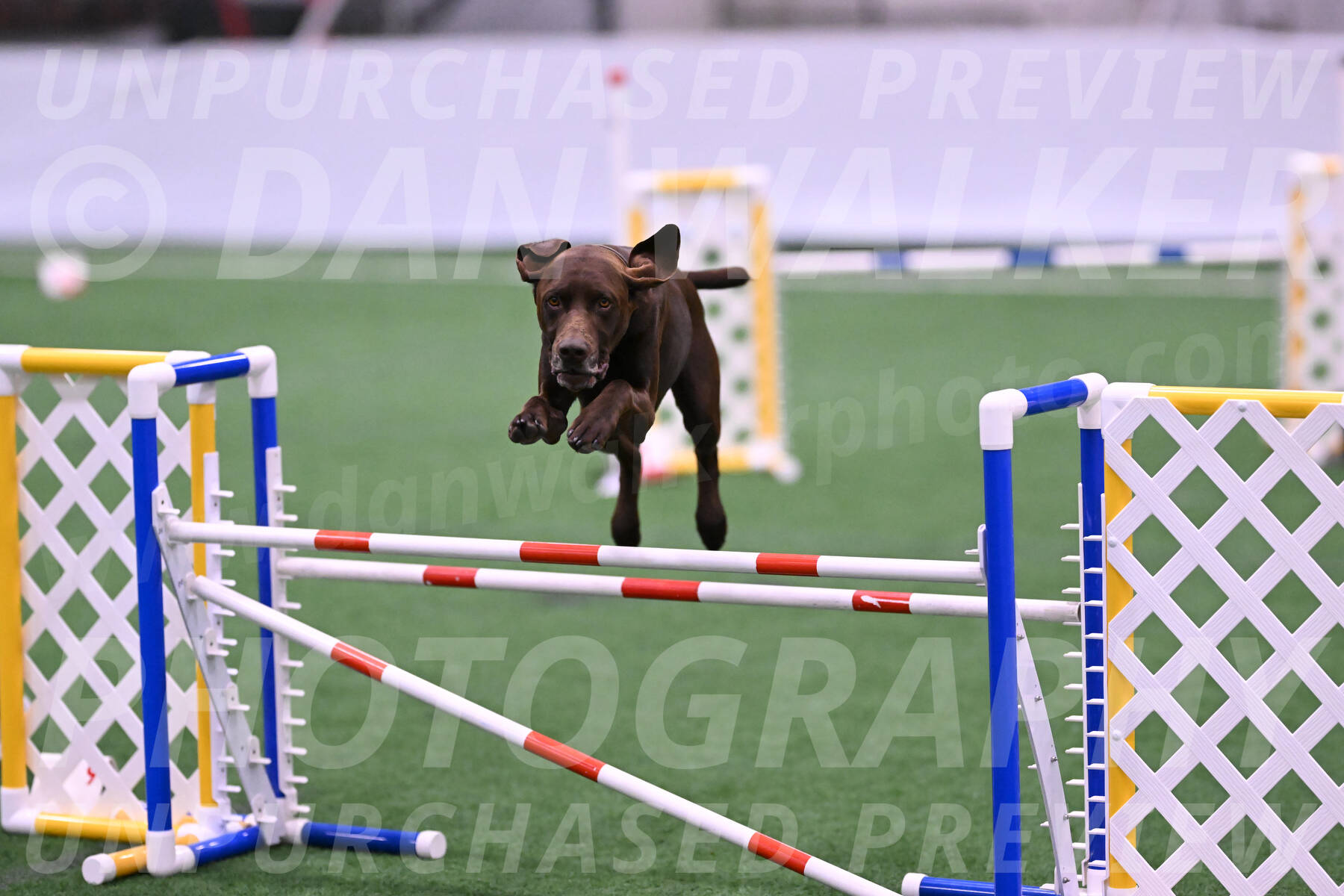Chester-Linda-Lombardi-22043