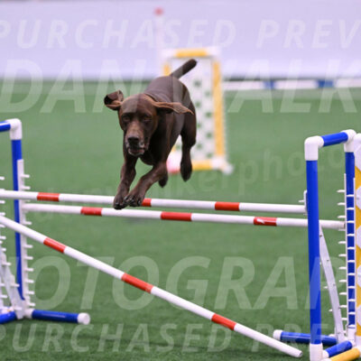 Chester-Linda-Lombardi-22044