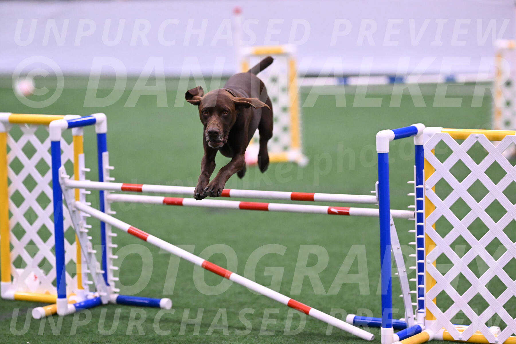 Chester-Linda-Lombardi-22044