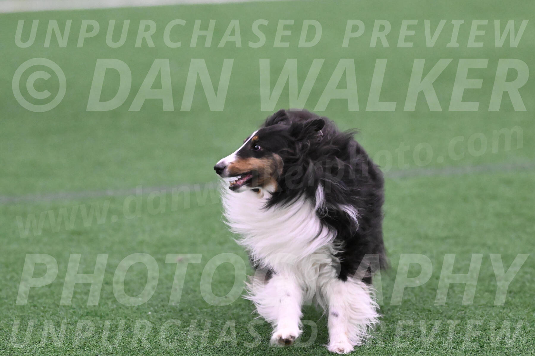 Cleo-Barb-Schmauder-R-07990