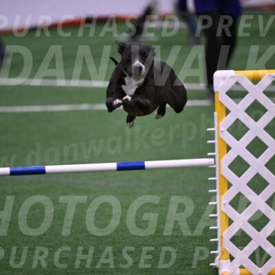 Cora-Kelly-Fortney-21686