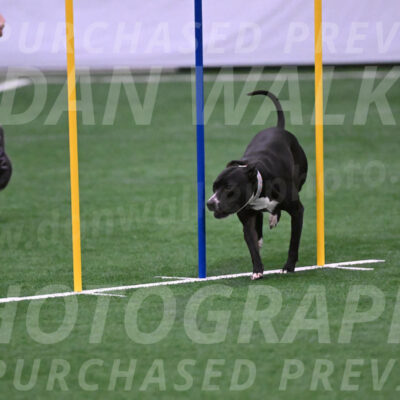 Cora-Kelly-Fortney-21702