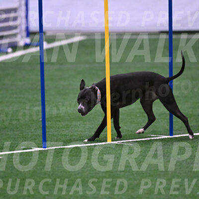 Cora-Kelly-Fortney-21709