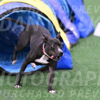 Cora-Kelly-Fortney-21768