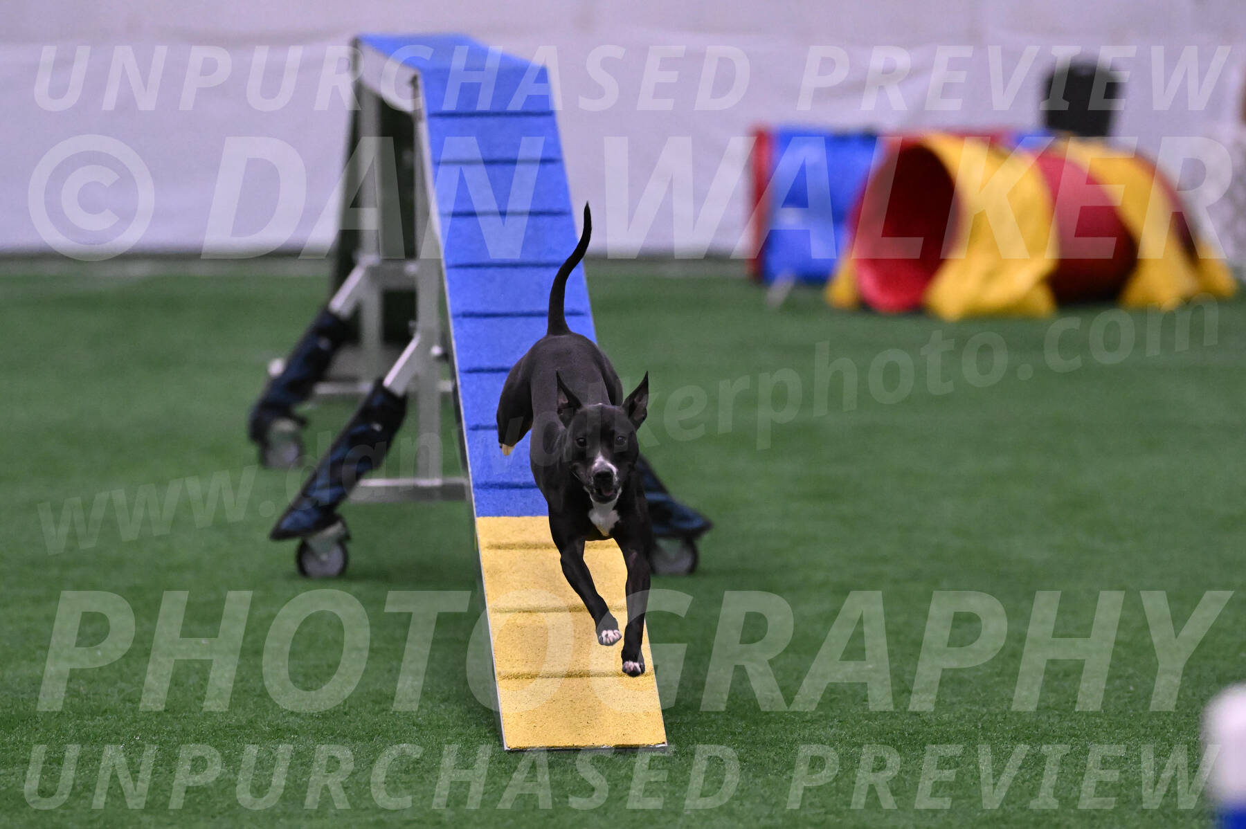 Cora-Kelly-Fortney-21769