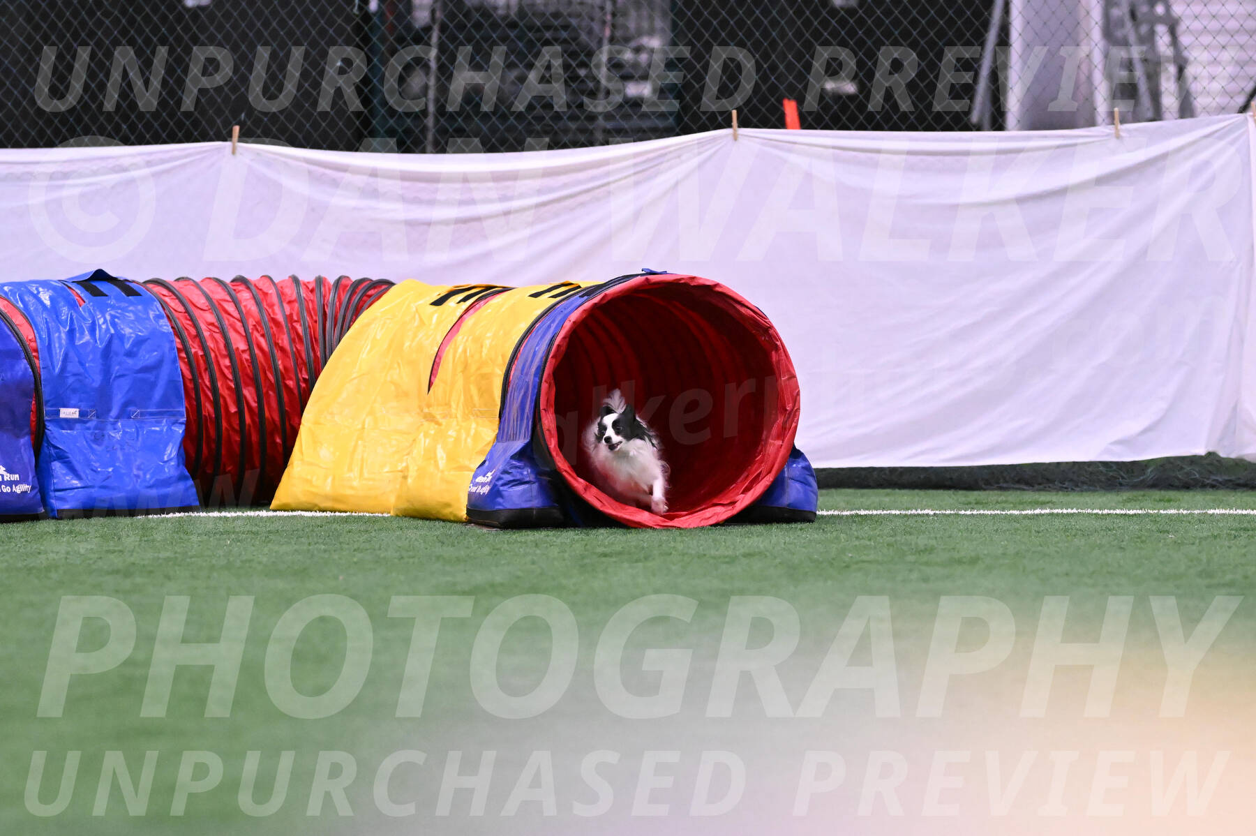 Dainty-heather-chambers-02101
