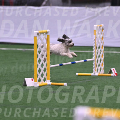 Daisy-Ann-Krizman-26103