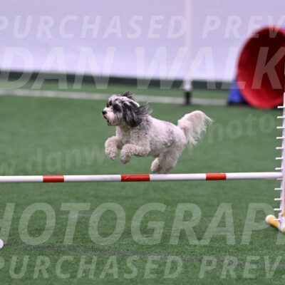 Daisy-Ann-Krizman-26106