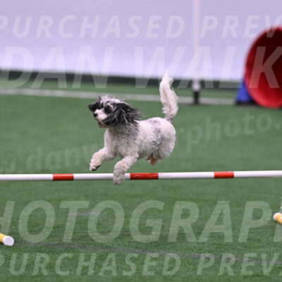 Daisy-Ann-Krizman-26107