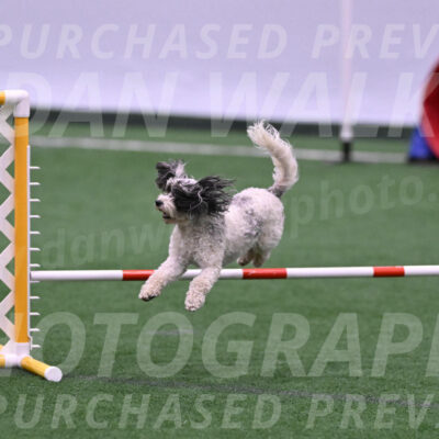 Daisy-Ann-Krizman-26108