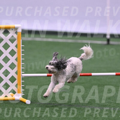 Daisy-Ann-Krizman-26109