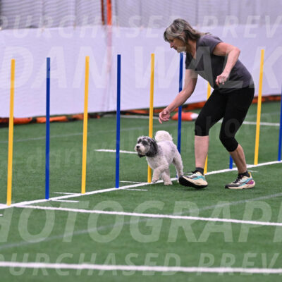Daisy-Ann-Krizman-26117