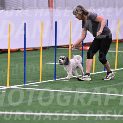 Daisy-Ann-Krizman-26118