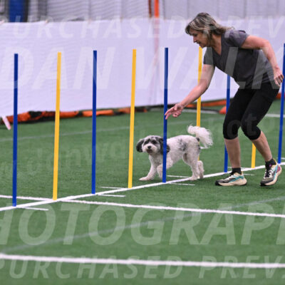 Daisy-Ann-Krizman-26121