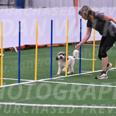 Daisy-Ann-Krizman-26122