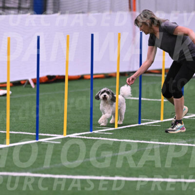 Daisy-Ann-Krizman-26123