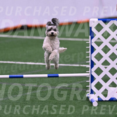 Daisy-Ann-Krizman-26145