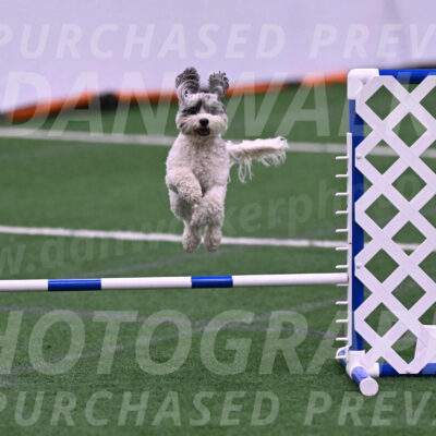 Daisy-Ann-Krizman-26146